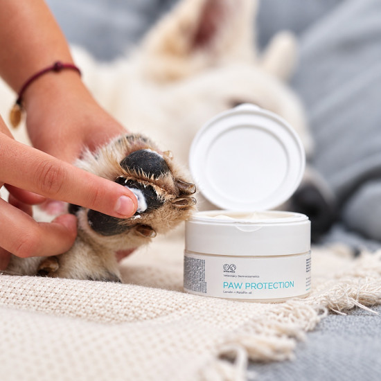 Unguent Vet Expert – Paw Protection pentru Protecția și Regenerarea Pernițelor – 75 ml